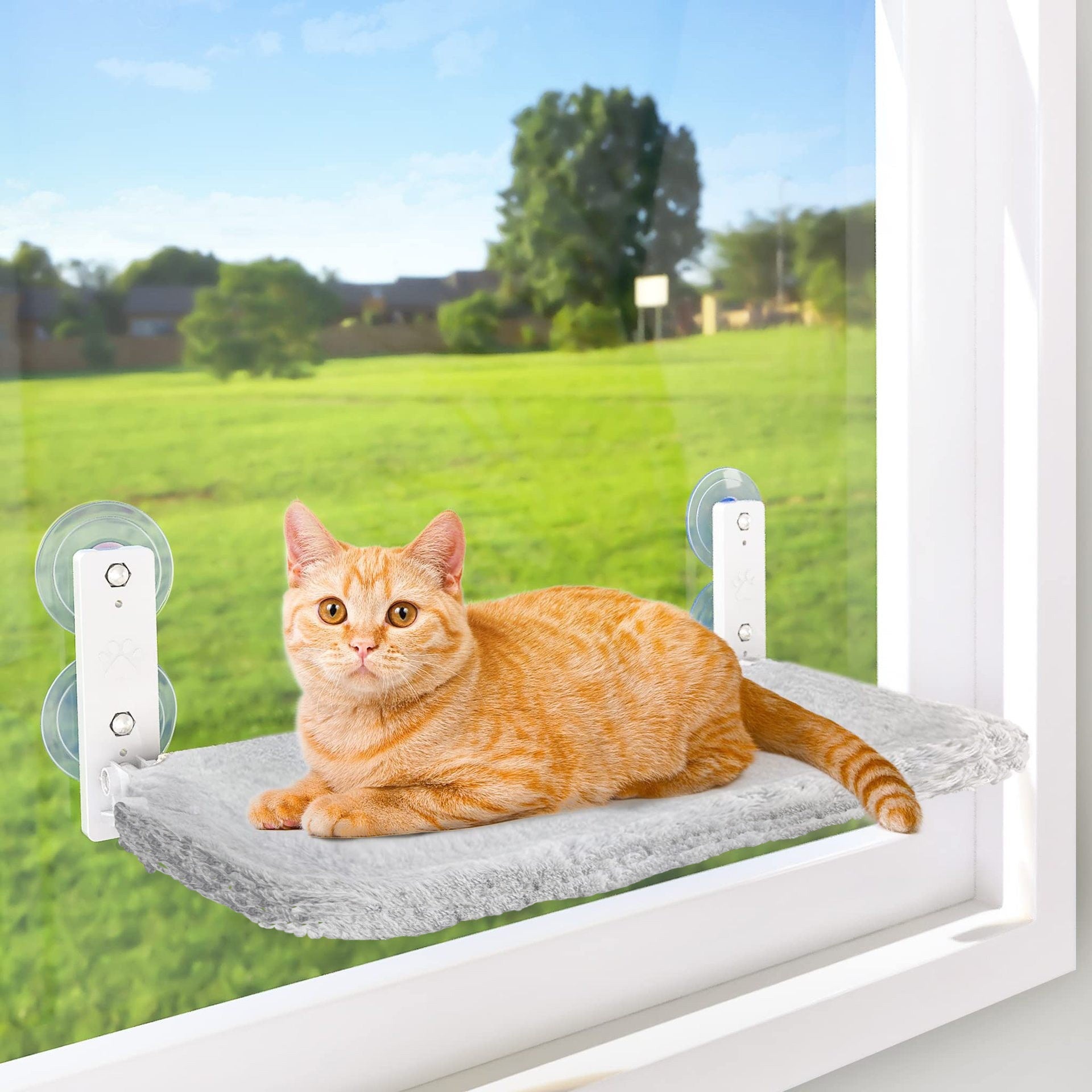 Cat Window Hammock 🐱
